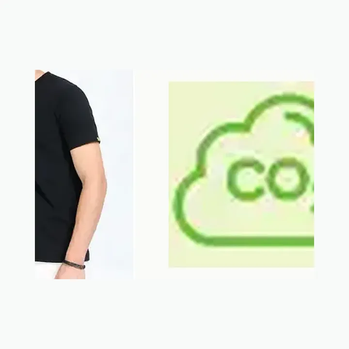 Crew Neck T-shirt (recycled) alternate view