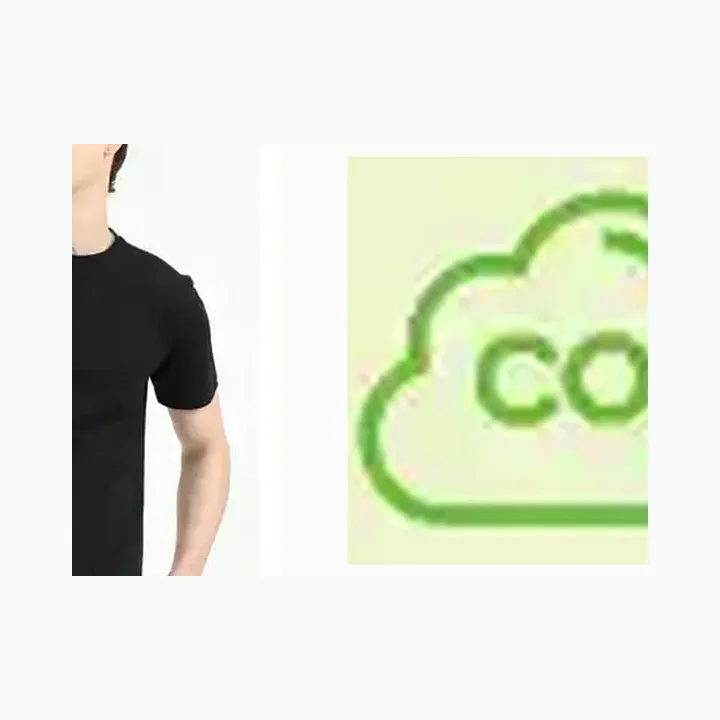 Organic Crew Neck T-shirt alternate view