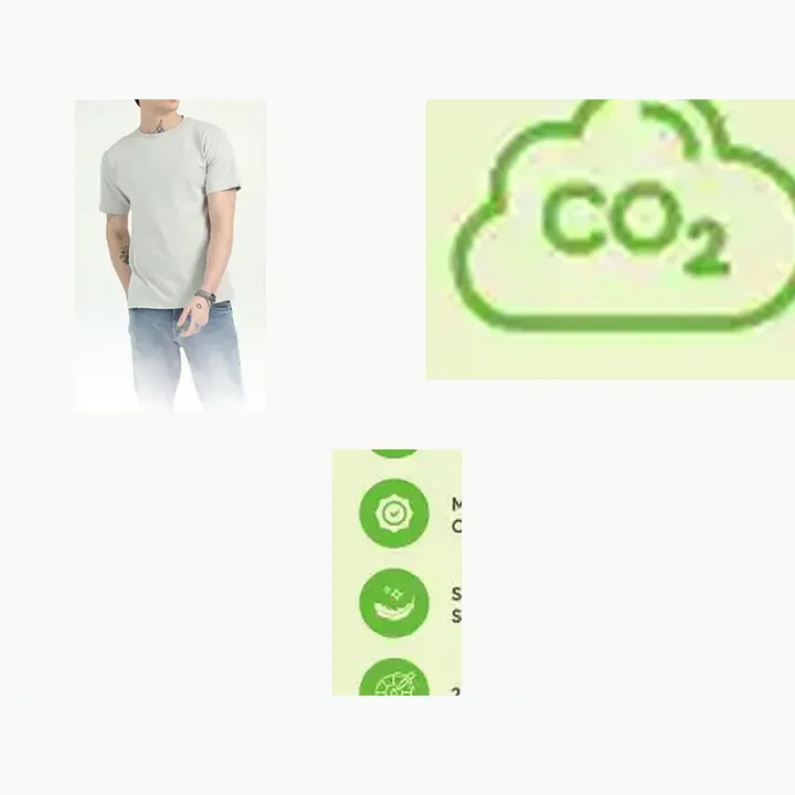 Organic Crew Neck T-shirt