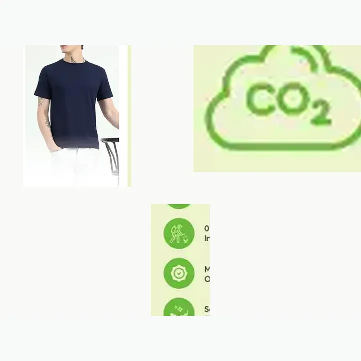 Organic Crew Neck T-shirt