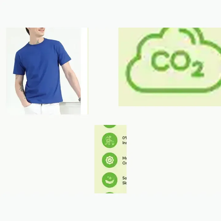 Organic Crew Neck T-shirt