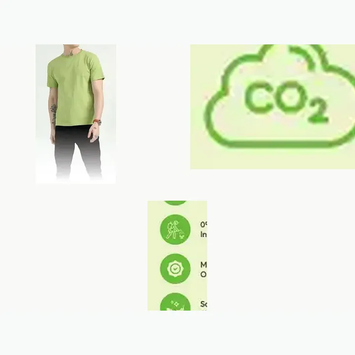 Organic Crew Neck T-shirt