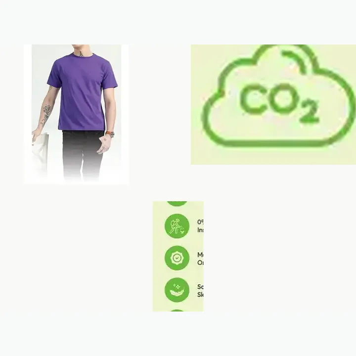 Organic Crew Neck T-shirt