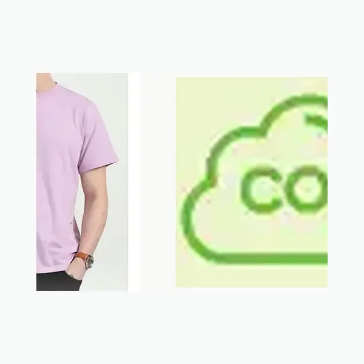 Organic Crew Neck T-shirt alternate view