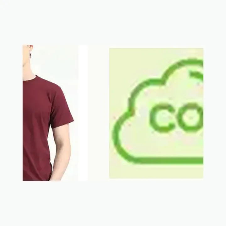 Organic Crew Neck T-shirt alternate view