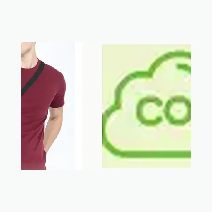 Crew Neck T-shirt (recycled) alternate view