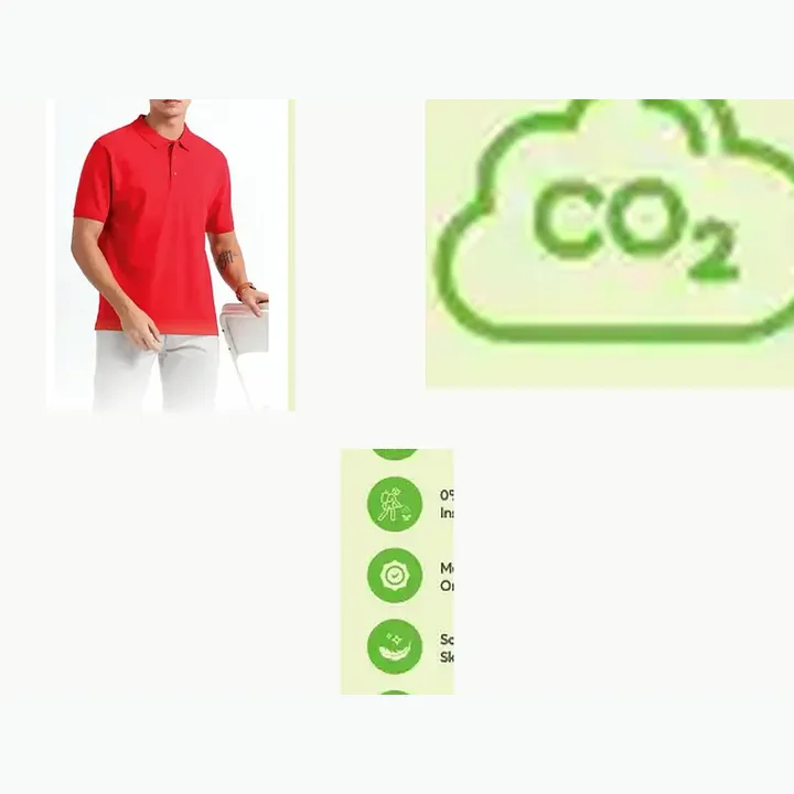 Organic Polo T-shirt