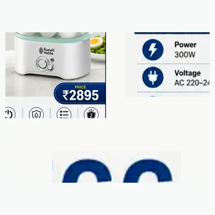 Reg300 — Egg Cooker ( 300 W ) detail