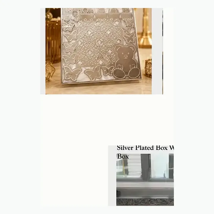 Silver Plated Box With Resin detail