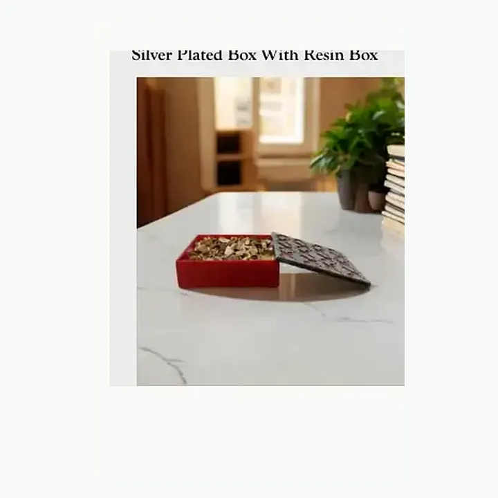 Silver Plated Box With Resin Box alternate view