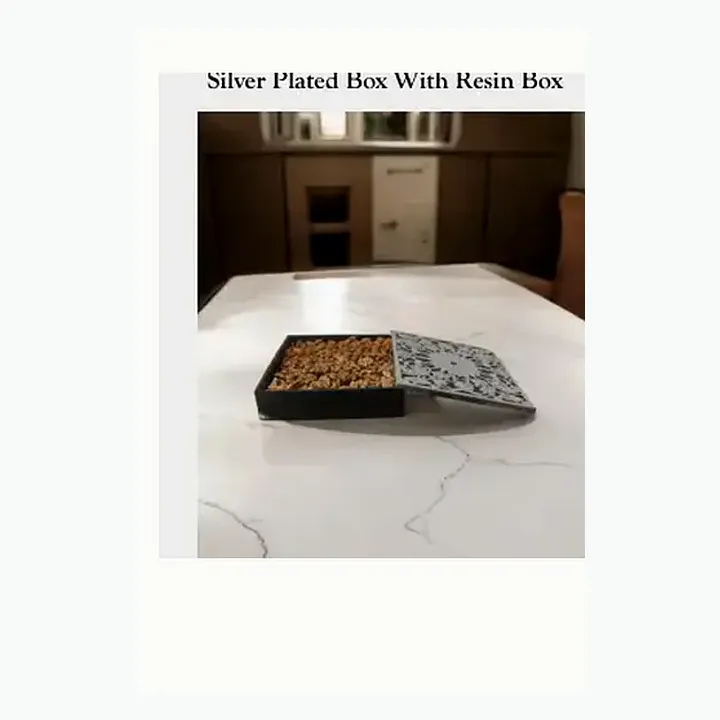 Silver Plated Box With Resin Box alternate view