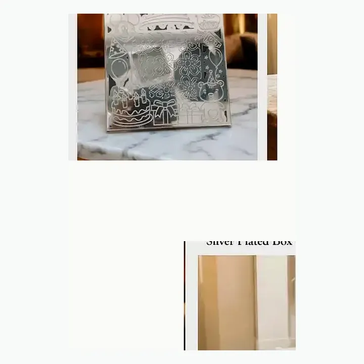 Silver Plated Box With Resin Box detail